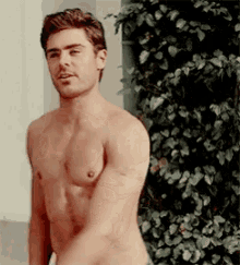 Sexy Boy Cams